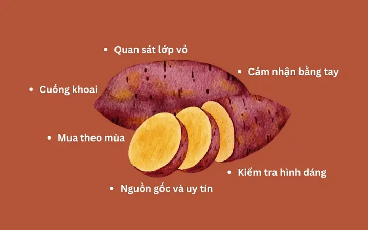 Khoai Lang Nhật Ruột Vàng Giá Bao Nhiêu