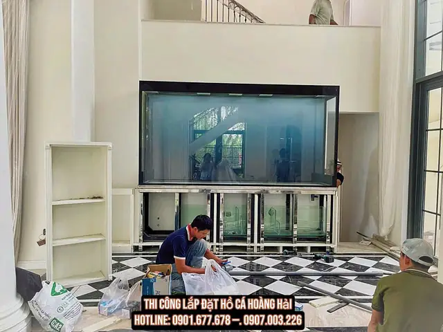 Kích Thước Bể Cá Rồng Theo Phong Thủy