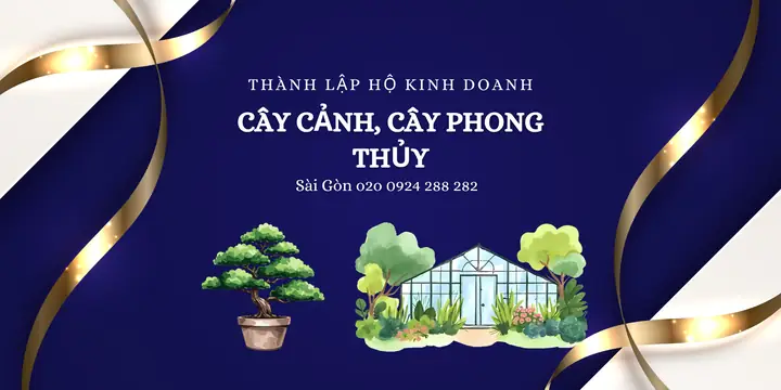 Kinh Doanh Cây Cảnh Phong Thủy