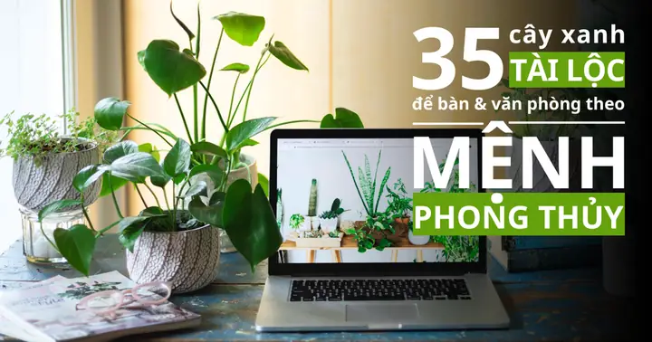 La Bàn Phong Thủy Cho Máy Tính