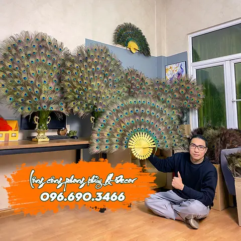 Lông Công Phong Thủy Hà Nội