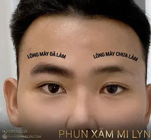 Lyn's Phong Thủy Tại Tâm