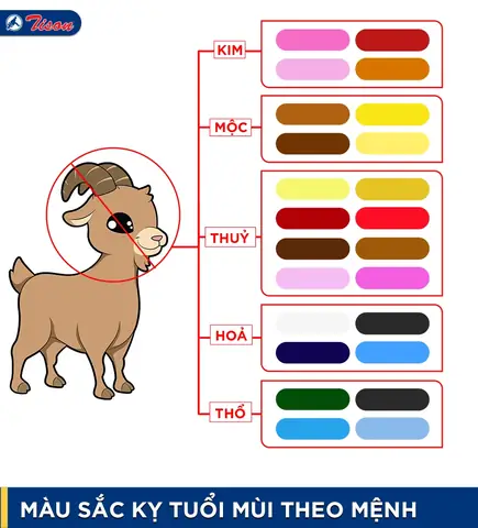 Màu Phong Thủy Hợp Với Tuổi Mùi