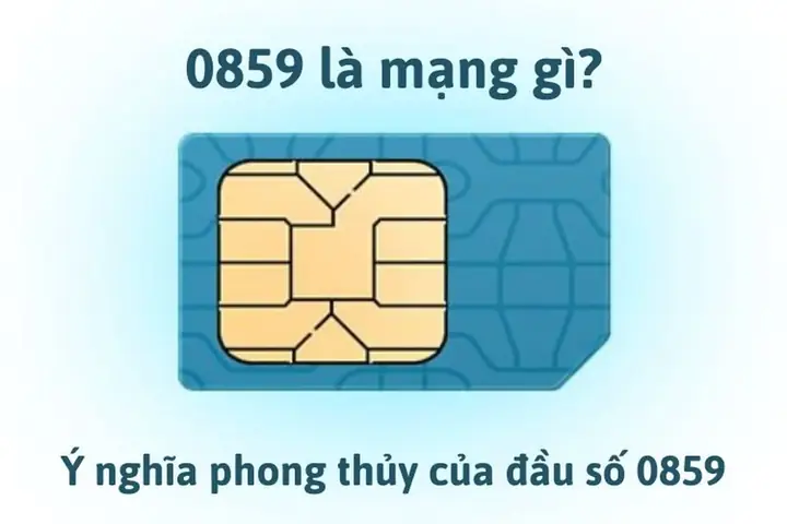 Mua Sim Phong Thủy Ở Đâu