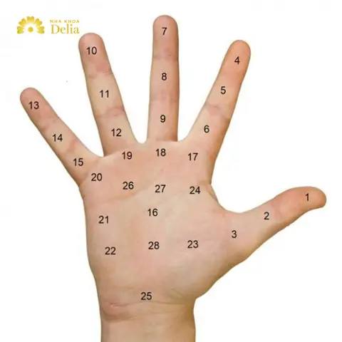 Nốt Ruồi Phong Thủy Trên Bàn Tay