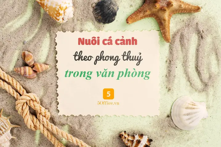 Nuôi Cá Cảnh Theo Phong Thủy