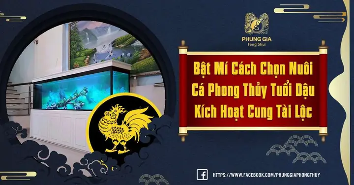 Nuôi Cá Phong Thủy Tuổi Dậu
