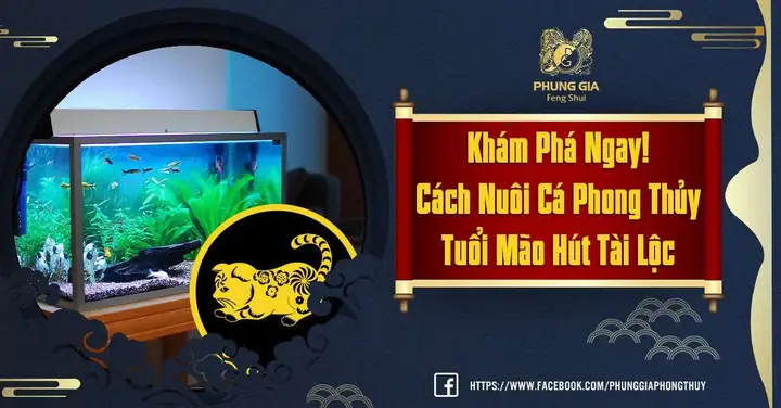 Nuôi Cá Phong Thủy Tuổi Mão
