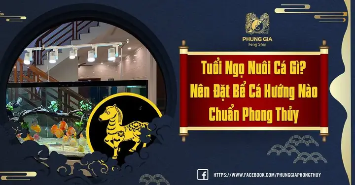 Nuôi Cá Phong Thủy Tuổi Ngọ
