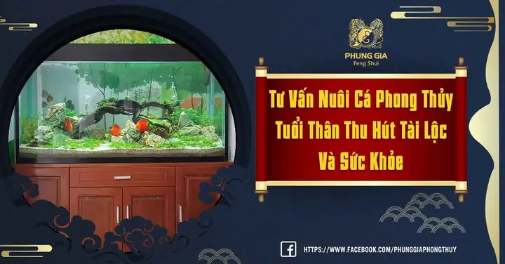 Nuôi Cá Phong Thủy Tuổi Thân