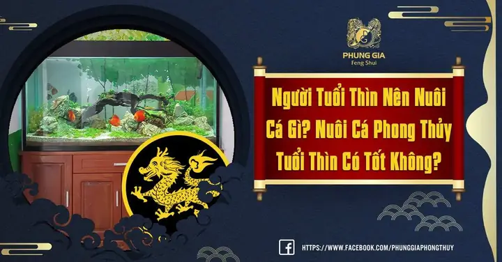 Nuôi Cá Phong Thủy Tuổi Thìn