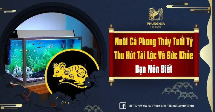 Nuôi Cá Phong Thủy Tuổi Tý