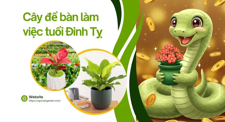 Phong Thủy Bàn Làm Việc Tuổi Đinh Tỵ