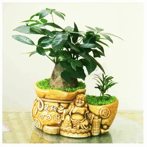 Phong Thủy Cây Cảnh Phòng Thờ