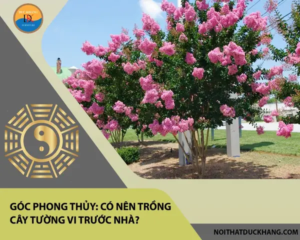 Phong Thủy Cây Hoa Tường Vi