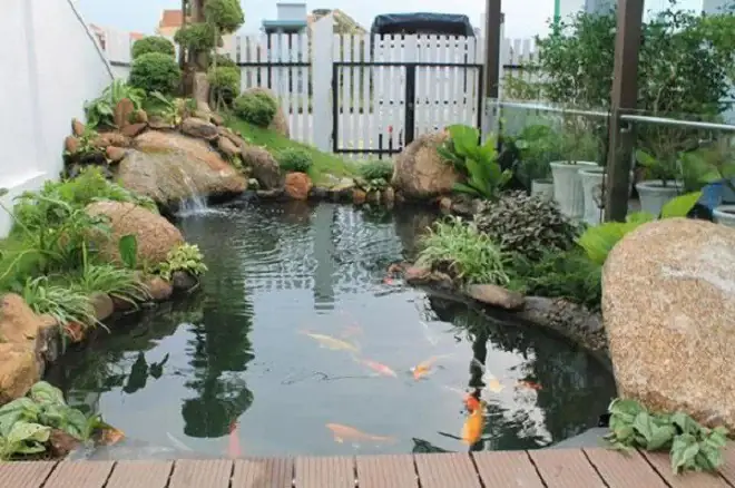Phong Thủy Chậu Nước Trước Nhà