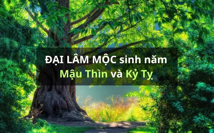 Phong Thủy Cho Đại Lâm Mộc