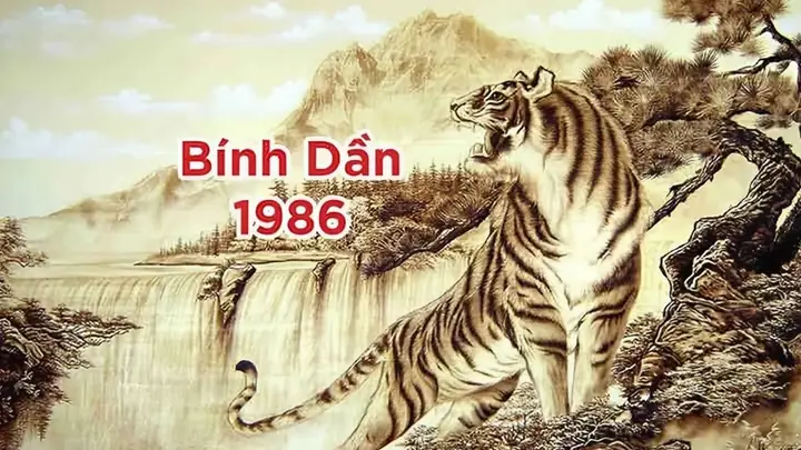 Phong Thủy Cho Người Tuổi Dần 1986