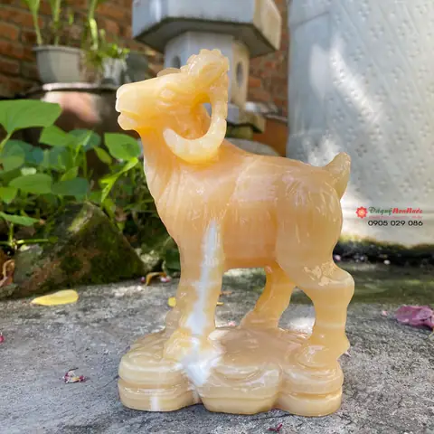 Phong Thủy Cho Người Tuổi Mùi