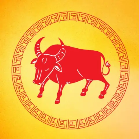 Phong Thủy Cho Người Tuổi Quý Sửu