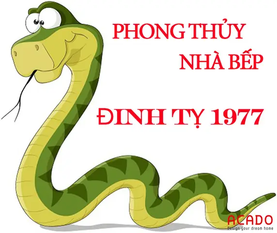 Phong Thủy Cho Tuổi Đinh Tỵ 1977