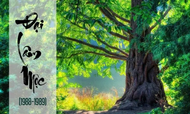 Phong Thủy Cho Tuổi Kỷ Tỵ 1989