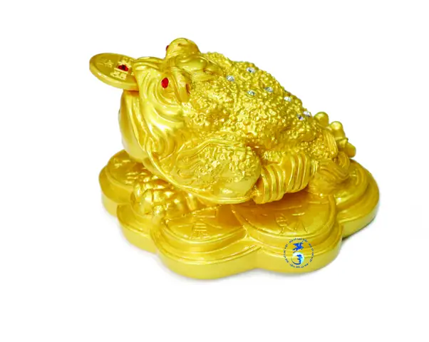 Phong Thủy Con Cóc Ngậm Đồng Tiền