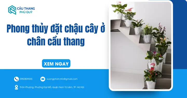 Phong Thủy Đặt Chậu Cây Ở Chân Cầu Thang