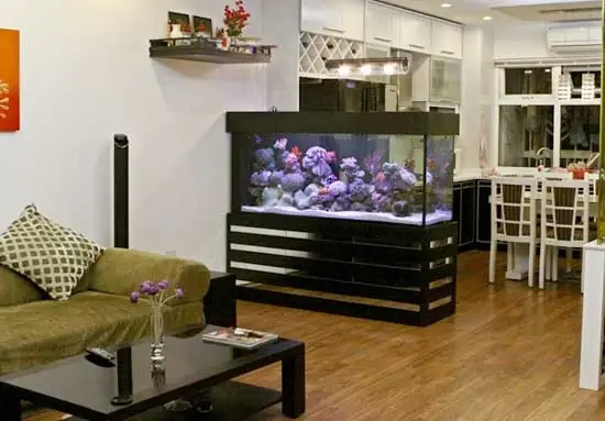 Phong Thủy Đặt Hồ Cá Trong Nhà Phong Thủy Đặt Hồ Cá Trong Nhà