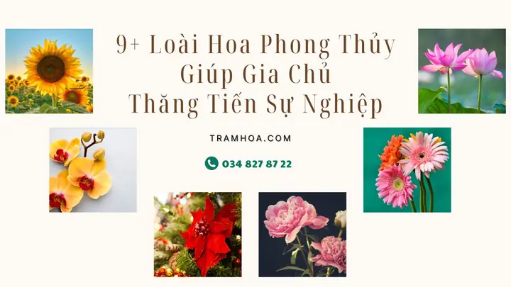 Phong Thủy Giúp Thăng Tiến Sự Nghiệp