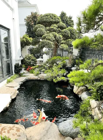 Phong Thủy Hồ Cá Sân Vườn