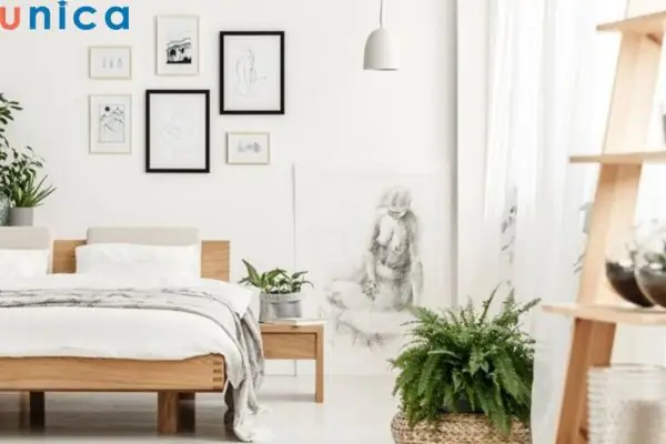 Phong Thủy Hóa Giải Ngoại Tình