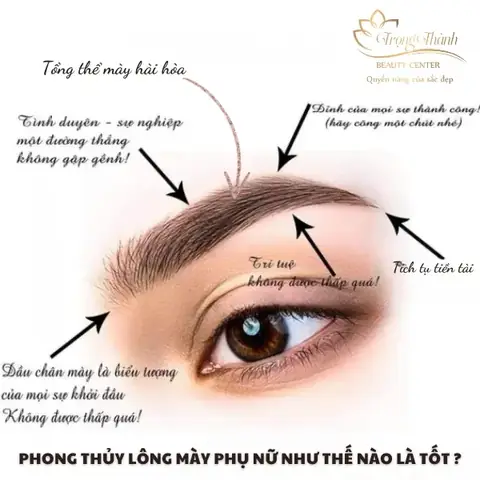 Phong Thủy Lông Mày Phụ Nữ Phong Thủy Lông Mày Phụ Nữ