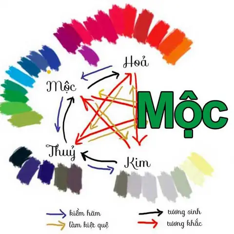 Phong Thủy Mệnh Mộc Hợp Màu Gì