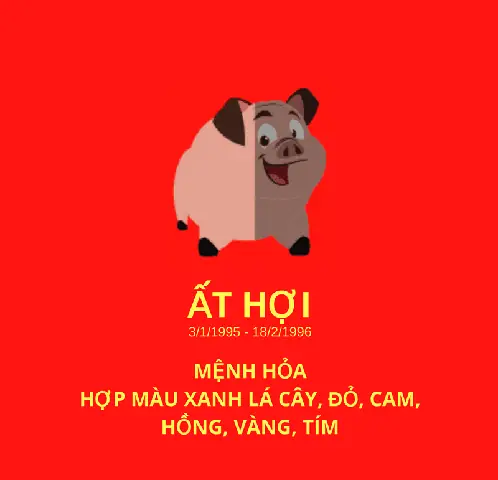 Phong Thủy Người Tuổi Hợi 1995