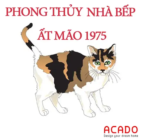 Phong Thủy Nhà Bếp Tuổi Ất Mão