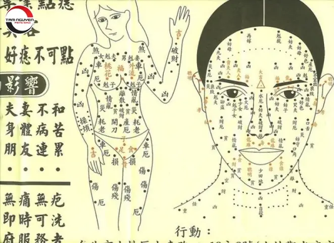 Phong Thủy Nốt Ruồi Trên Cơ Thể Phụ Nữ