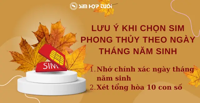 Phong Thủy Số Điện Thoại Theo Ngày Tháng Năm Sinh