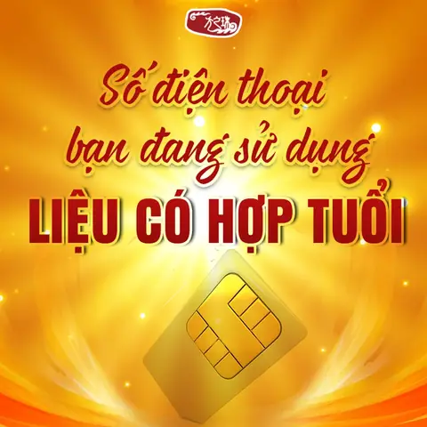 Phong Thủy Số Điện Thoại Theo Tuổi