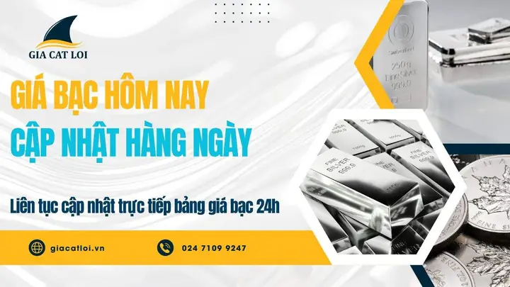 Phong Thủy Thế Gia Ngày Hôm Nay