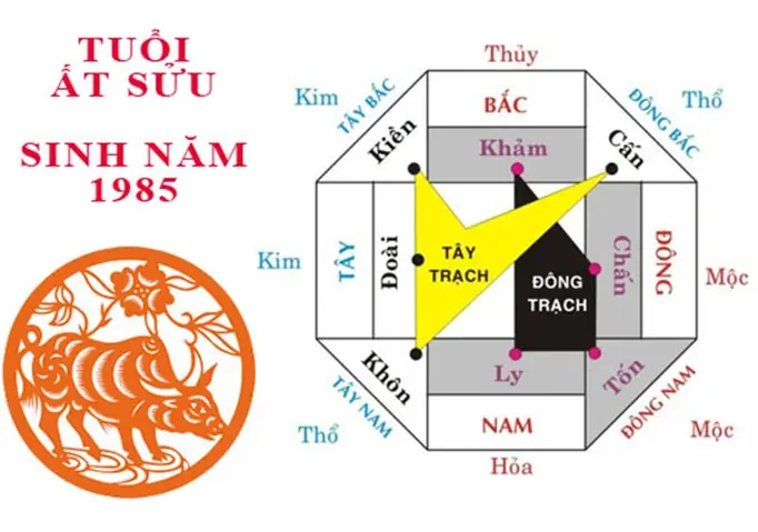 Phong Thủy Tuổi At Sửu 1985