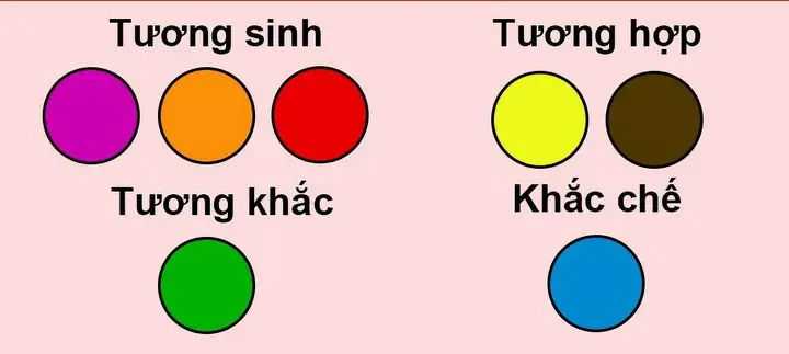 Phong Thủy Tuổi Dần Hợp Màu Gì