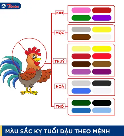 Phong Thủy Tuổi Dậu Hợp Màu Gì