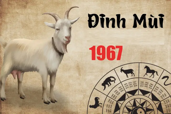 Phong Thủy Tuổi Đinh Mùi 1967