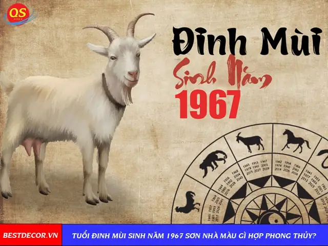 Phong Thủy Tuổi Đinh Mùi Hợp Màu Gì