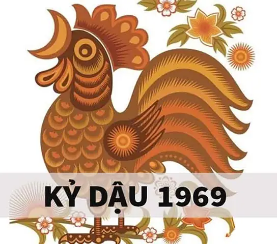 Phong Thủy Tuổi Kỷ Dậu Hợp Màu Gì