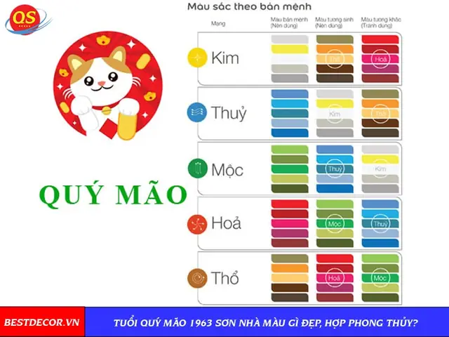 Phong Thủy Tuổi Mão Hợp Màu Gì