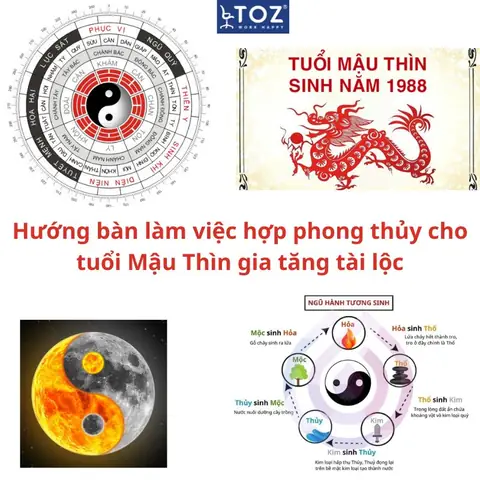 Phong Thủy Tuổi Mậu Thìn 1988 Nữ
