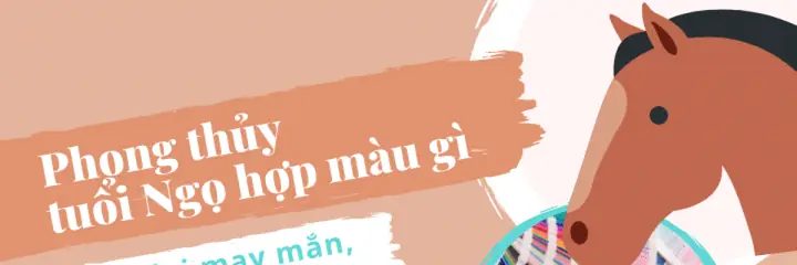Phong Thủy Tuổi Ngọ Hợp Màu Gì
