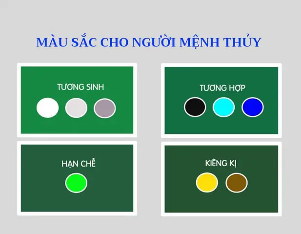 Phong Thủy Tuổi Quý Hợi Hợp Màu Gì